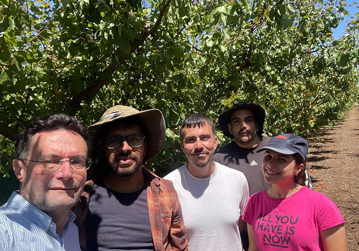 Innovación agrícola: la digitalización reduce el consumo de agua en cultivos mediterráneos