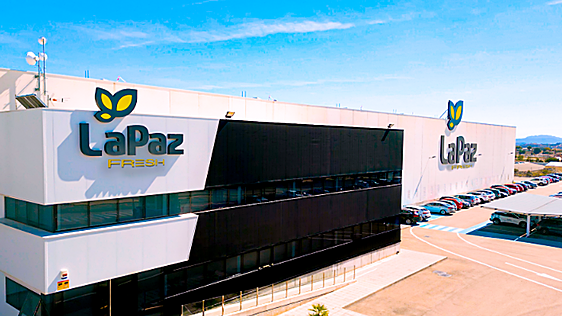 Sabater integra La Paz Fresh tras rescatarla del concurso e impulsa una nueva compañía de cítricos referente en la Región