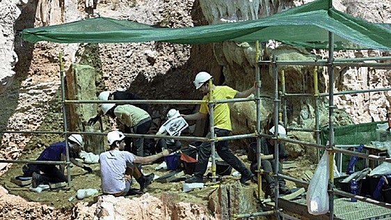 Antes de excavar, hay que aprender a mirar