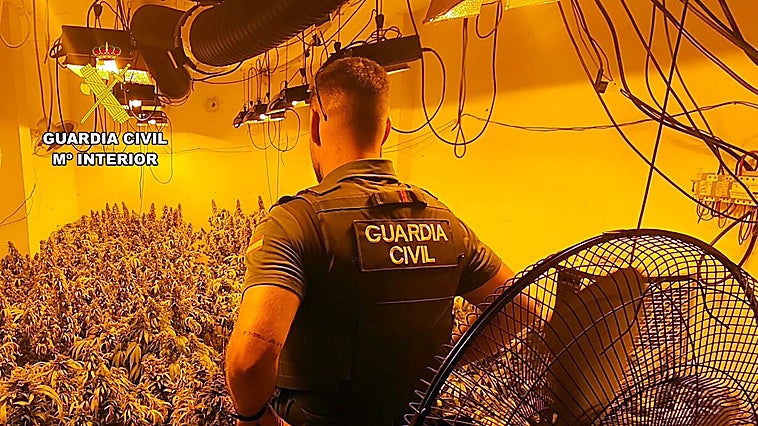 Seis detenidos por cultivar marihuana en casas y garajes de Águilas