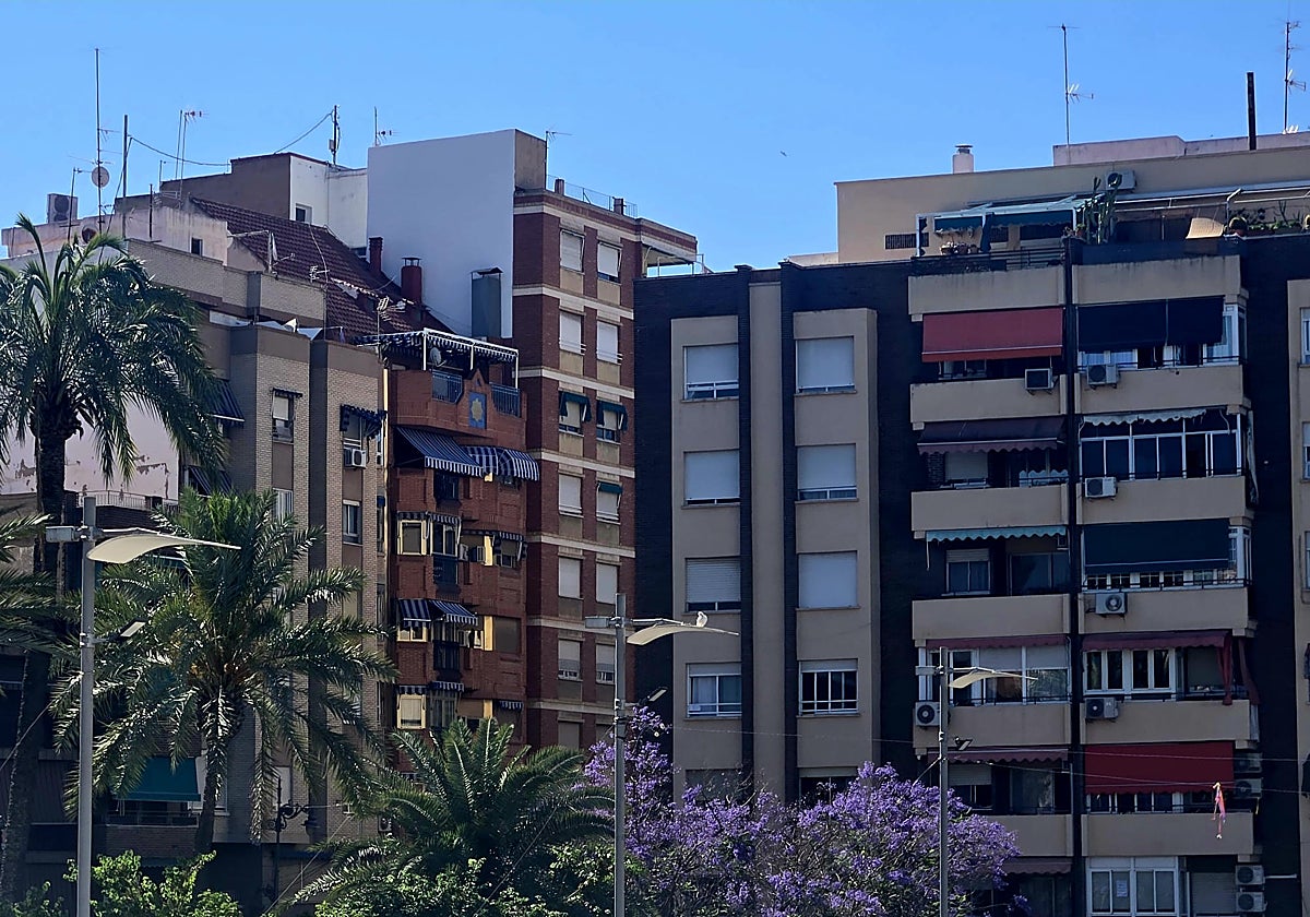 Un centenar de familias reciben las primeras ayudas locales contra la pobreza energética en Molina