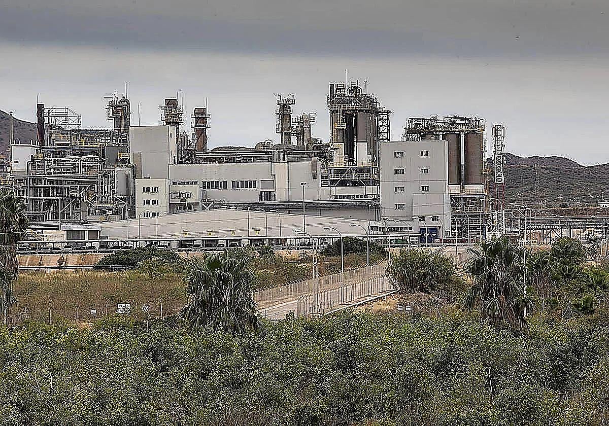 El Comité de empresa de Sabic en Cartagena pide «claridad» sobre el futuro de los trabajadores ante al cierre de la venta el 3 de agosto