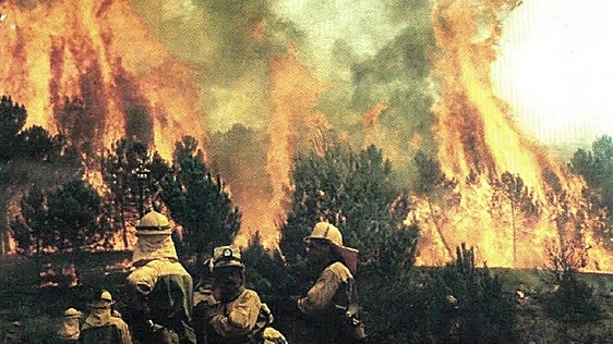 «¡Metan lo que puedan en una bolsa... El fuego está cerca!»