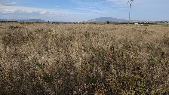 Totana tumba la planta de biogás tras la oposición de Ecologistas en Acción y de vecinos
