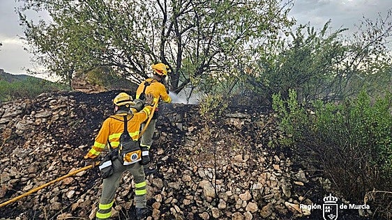 La rápida intervención de los bomberos evita que un incendio agrícola en Bullas afecte a viviendas próximas