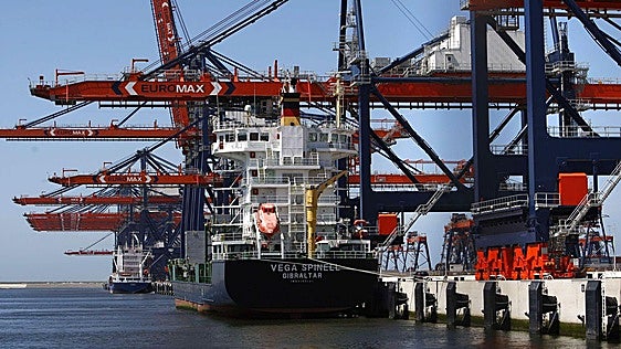 Países Bajos, la feroz competencia puertas adentro para el limón murciano