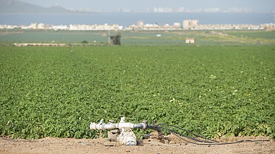 Seis años de ley dejan 123 sanciones a los agricultores del Mar Menor, con más de 900.000 euros en multas