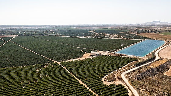 WWF eleva a más de 18.000 hectáreas el regadío ilegal en la cuenca del Segura