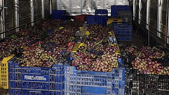 'Cazan' en Murcia a un camionero transportando más de 600 kilos de uva presuntamente robada