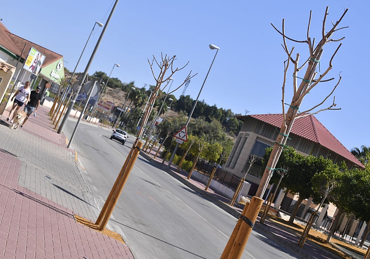 Hilera de nuevos árboles en la avenida del Chorrico, en una imagen tomada en septiembre.