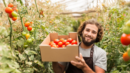 Nueva normativa para la gestión envases comerciales: el reto para las empresas agroalimentarias