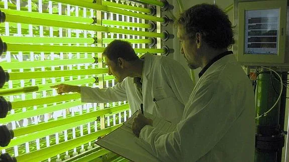 Planta de microalgas, uno de los campos de explotación de nuevas energías y nutrientes veterinarios.