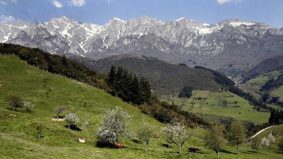 Vista del Parque Natural de Picos de Europa desde Liébana. 