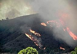 Desalojadas 17 personas en Moratalla por el incendio que ha quemado 300 hectáreas