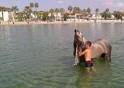 El jinete acaricia al caballo cerca de la costa. :: Foto y vídeo: A. Salas