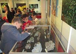 Los escolares observan muestras de minerales. :: Ayto. Mazarrón