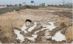 Un campamento de gitanos se vio completamente inundado