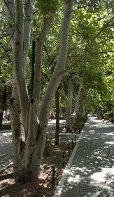 PARQUE. Chopera actual en el parque de La Viña. / P. ALONSO / AGM