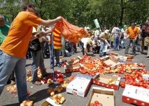 Malestar. Agricultores lanzan tomates al suelo en una pasada protesta en Madrid contra la caída de los precios agrícolas. ::
EFE