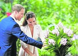 Los duques de Cambridge dan sus nombres a una exótica orquídea