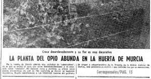 Común. Portada de 'La Verdad' de 1980, dedicada a la proliferación de plantas de opio.