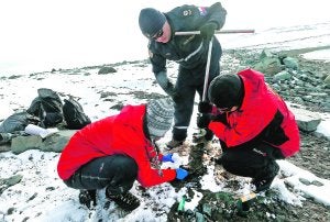 Microbios antárticos para limpiar las cloacas