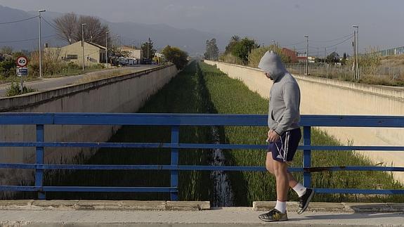 El Reguerón, una plaga de mosquitos tigre.