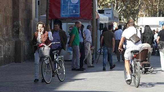 Ciclistas por las calles de Murcia. 