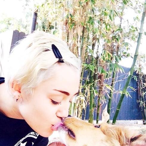 Miley Cyrus junto a su perro en una de las últimas fotografías que colgó en Instagram