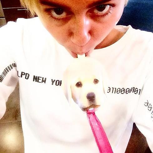 Miley Cyrus contrata a una médium para hablar con su perro | La Verdad