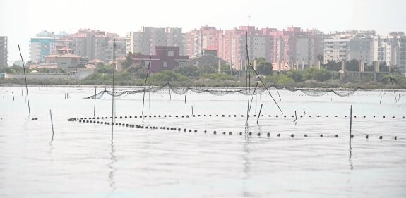 Paranza ilegal instalada en el canal que une el Mar Menor y el Mediterráneo, al norte de La Manga.