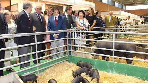 Alberto Garre recorre los puestos de Sepor, en Lorca. 