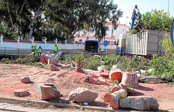 Restos de los árboles talados en la zona norte de la playa de La Ribera. :: A. S.