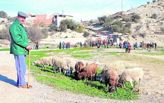 De paseo con el rebaño