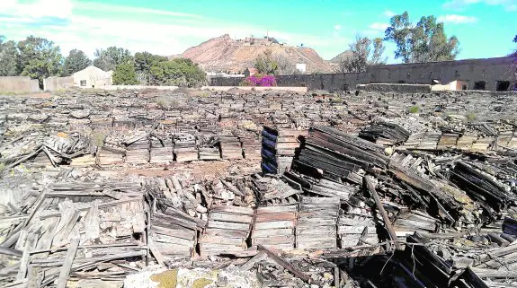 Cientos de miles de trozos de mineral permanecen en la litoteca de Cerca de las Mulas.