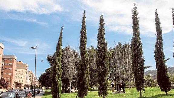 Parque de Luis Calandre, que será remodelado y cuya parte central será rebautizada como Plaza de l Árbol de la Vida.  