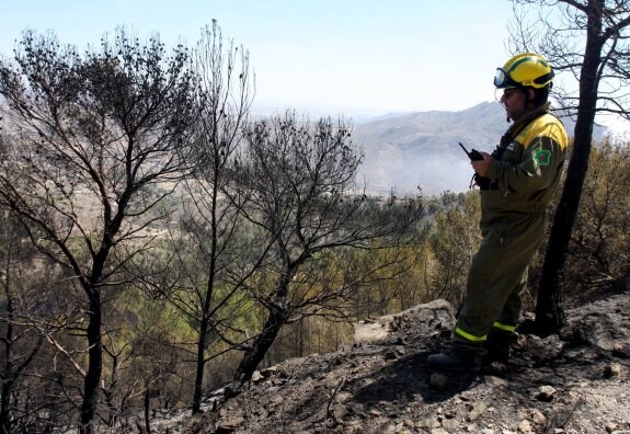 Un bombero inspecciona el área quemada, hace tres años. 