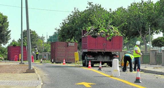 Tala y retirada de ejemplares de naranjos y moreras junto a la rambla de Tiata donde se construye la Ronda Central, ayer tarde.