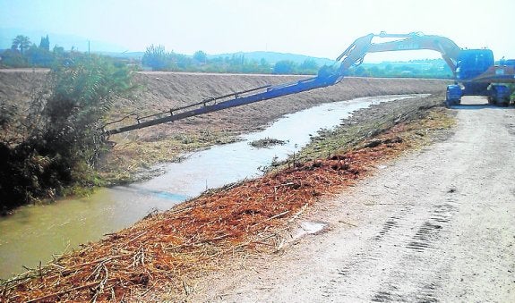 Limpieza del río en el municipio de Murcia. 