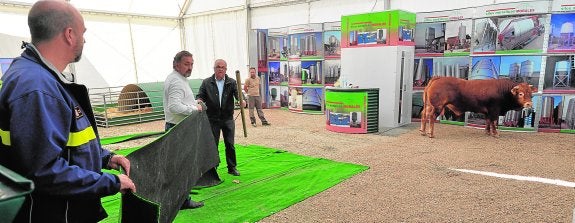 El concejal de Ganadería (c) y personal de la feria intentan atraer al toro con un trozo de moqueta a modo de capote. 