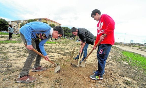 Tres alumnos plantan árboles en la actividad desarrollada el miércoles por el IES Los Molinos.