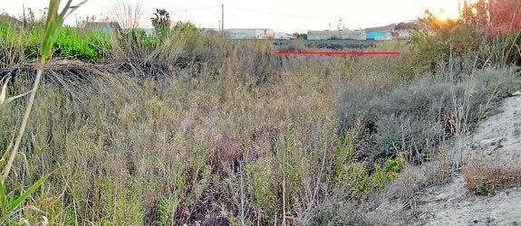 Imagen actual con el trazo de una línea roja para alertar de que debajo del cañizo está el acueducto. 