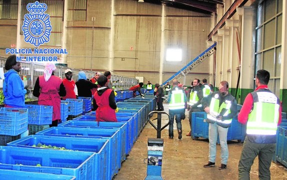 Agentes de la Policía Nacional durante la intervención en la empresa de Santomera. 