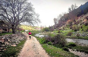 Arroyo junto al nacimiento del Segura, en la localidad jienense de Pontones.