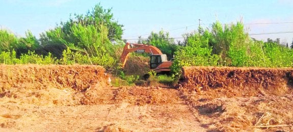 La asociación Huermur subió a las redes sociales ayer fotografías como esta para denunciar las prácticas arrasadoras de los hacendados. 