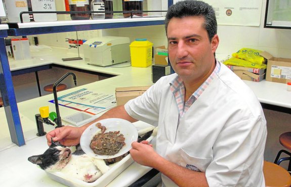 Antonio Juan García, jefe del grupo investigador de Toxicología de la UMU. :: v. vicéns
