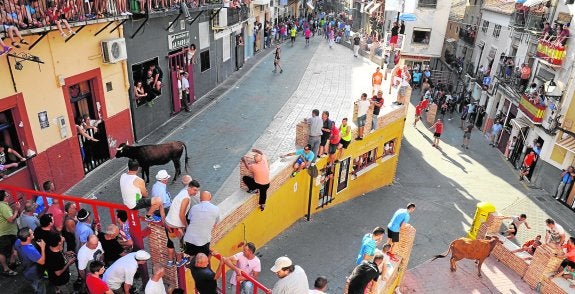 Miles de moratalleros y visitantes asistieron en la tarde de ayer al segundo encierro de las fiestas patronales. 