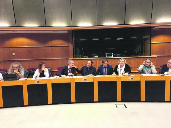 González Tovar (3º i), junto a miembros de la delegación murciana y eurodiputados socialistas.