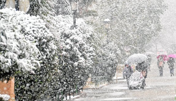 Una imagen insólita en las Alamedas, en Lorca. 