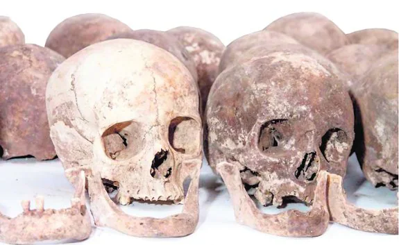 Calaveras recuperadas de los nichos de las Capuchinas, donde se buscaron los huesos del escultor.